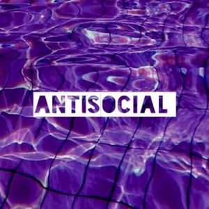 Meet your Posher, Nereida